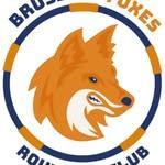 Brussels Foxes Roundnet Club logo