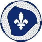 Federation Quebecoise de Roundnet logo