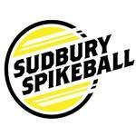 Sudbury Roundnet logo