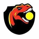 University of Calgary Roundnet logo