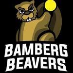 Roundnet Beavers Bamberg logo