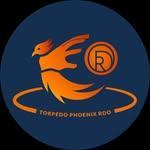 Torpedo Phoenix Roundnet Dortmund logo