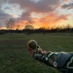 Roundnet Homburg logo