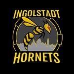 Ingolstadt Hornets (Roundnet) logo