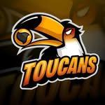 Roundnet Toucans Lindenau logo