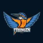 Roundnet Tübingen logo