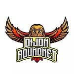 Dijon Roundnet logo