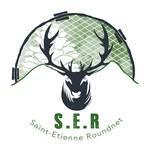 Saint-Etienne Roundnet logo