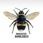 Manchester Bumblebees logo
