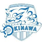 Roundnet Okinawa logo