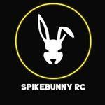 Spikebunny Roundnet Club logo