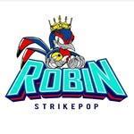 Robin Strikepop Roundnet Club logo