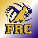 Fairview Roundnet Club logo