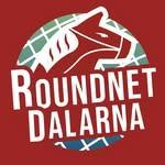 Roundnet Dalarna logo