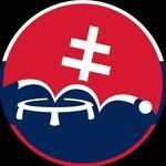 Roundnet Slovakia logo