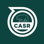 California Roundnet logo