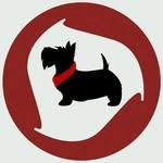 CMU Roundnet Club logo