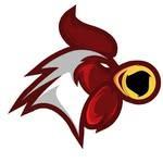 Gamecock Roundnet Club logo