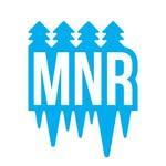 Minnesota Roundnet logo