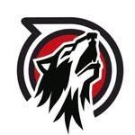 NC State Club Spikeball logo