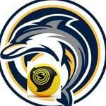 Ocean Lakes High School Roundnet logo