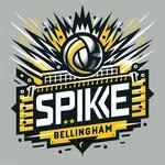 Bellingham Roundnet logo