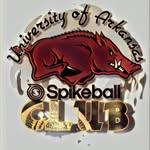 University of Arkansas Roundnet logo